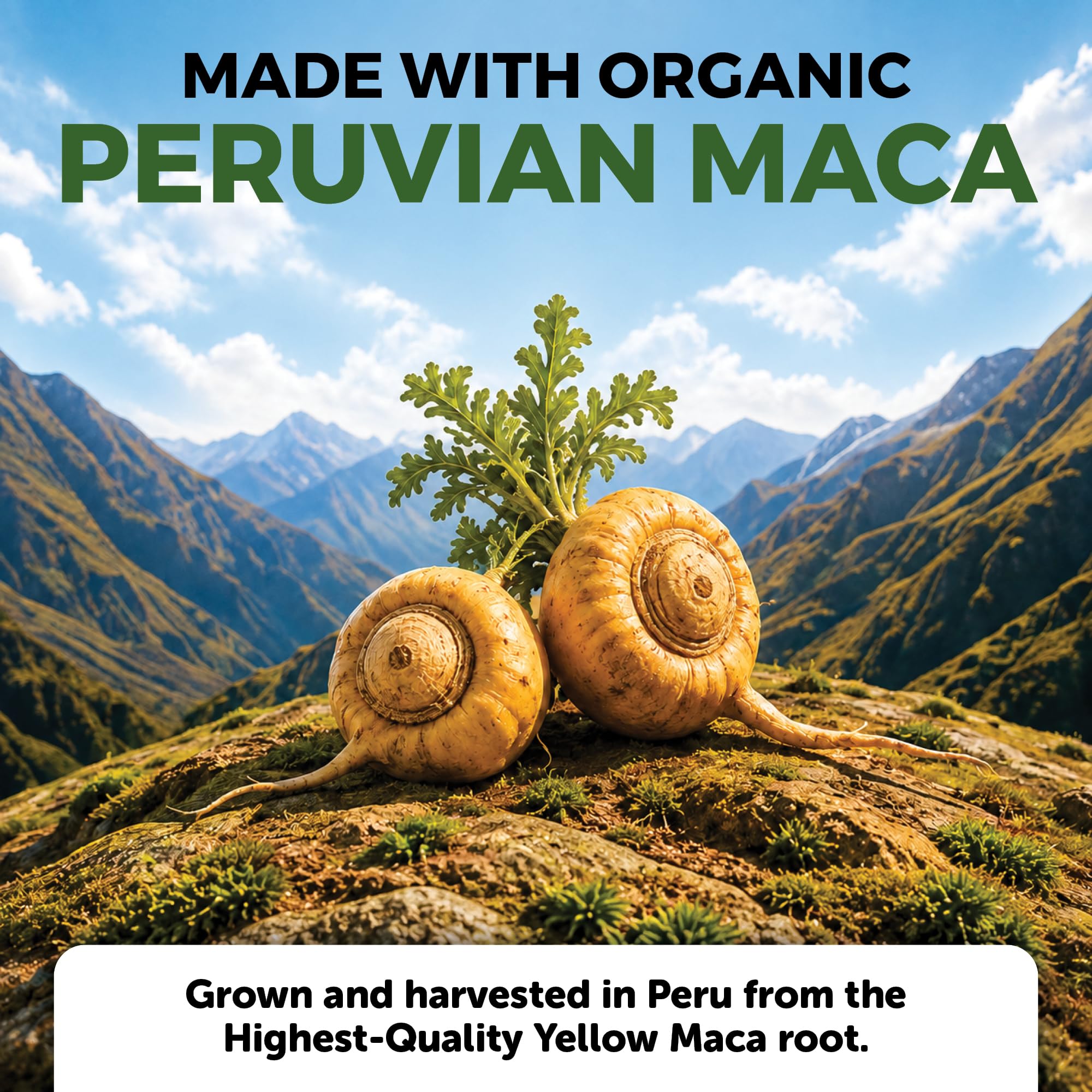 Viva Naturals Peruvian Maca Root Supplement for Women & Men, 500mg - Traditionally Used for Energy, Stamina & Endurance - 250 Yellow Maca Root Powder Capsules, Gelatinized for Easier Digestion — Amazon image 5