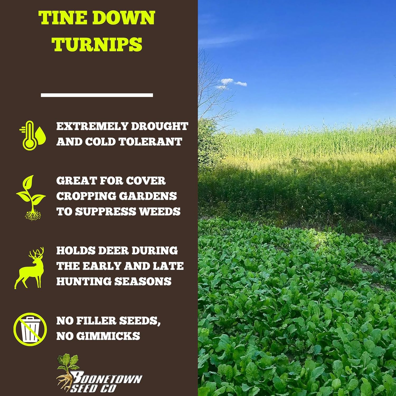 Tine Down Turnips, Deer Food Plot Seed Mixes, Premium Purple Top Turnip Food Plot Seeds for Deer, Cover Crop Erosion Control, 3lb Bag for 1/3 Acre Coverage
