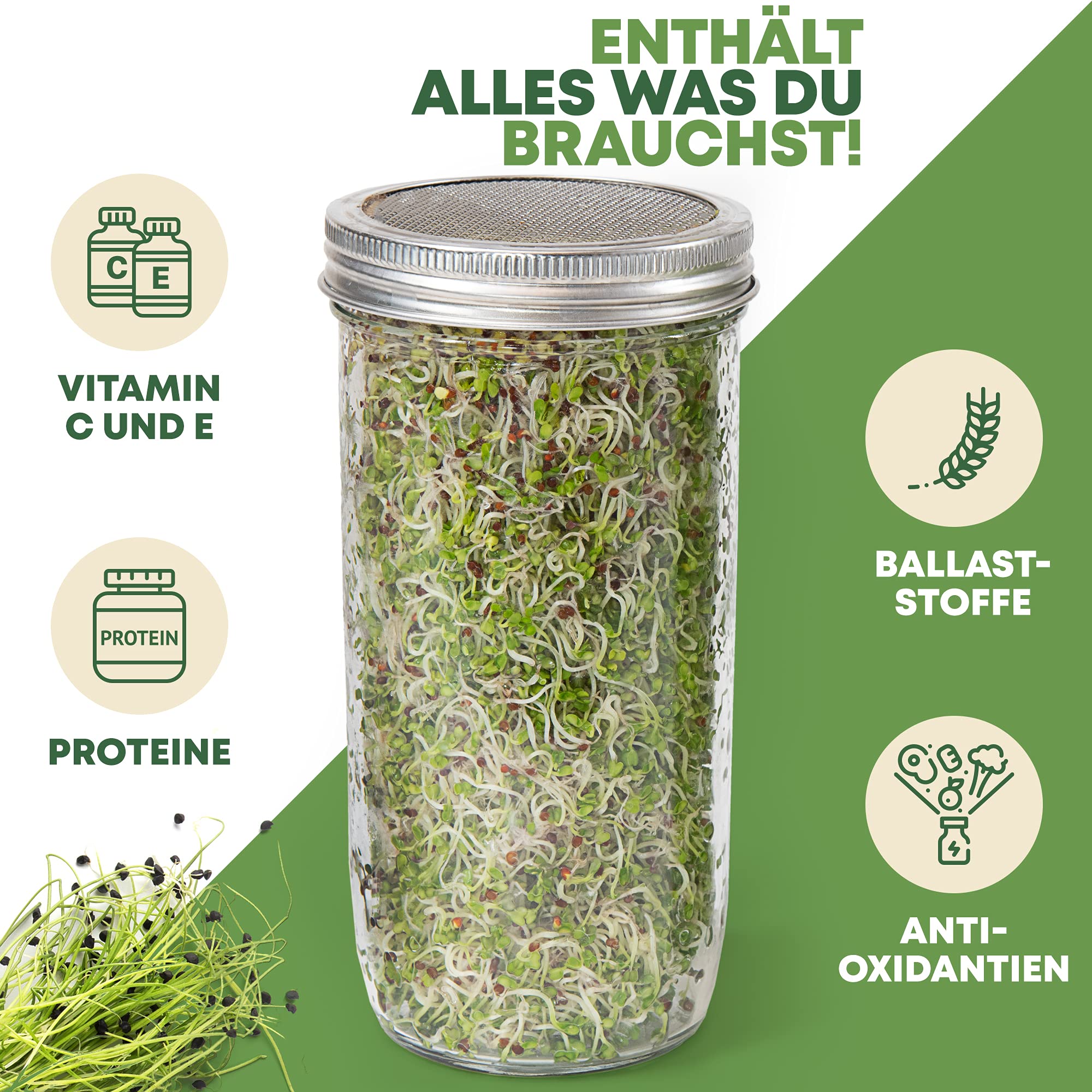 Lot de 3 bocaux à germer en verre - Gris - Avec couvercle et passoire en acier inoxydable de qualité supérieure - Pour la culture des pousses - Pour germer les échelons