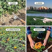 Vista 4 de Extractor de malezas, herramienta de deshierbe de acero inoxidable, herramienta manual de eliminación de malezas, desbrozadora de raíces