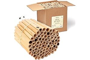 Bamboo Tube: An Eco-Friendly Haven for Mason Bees