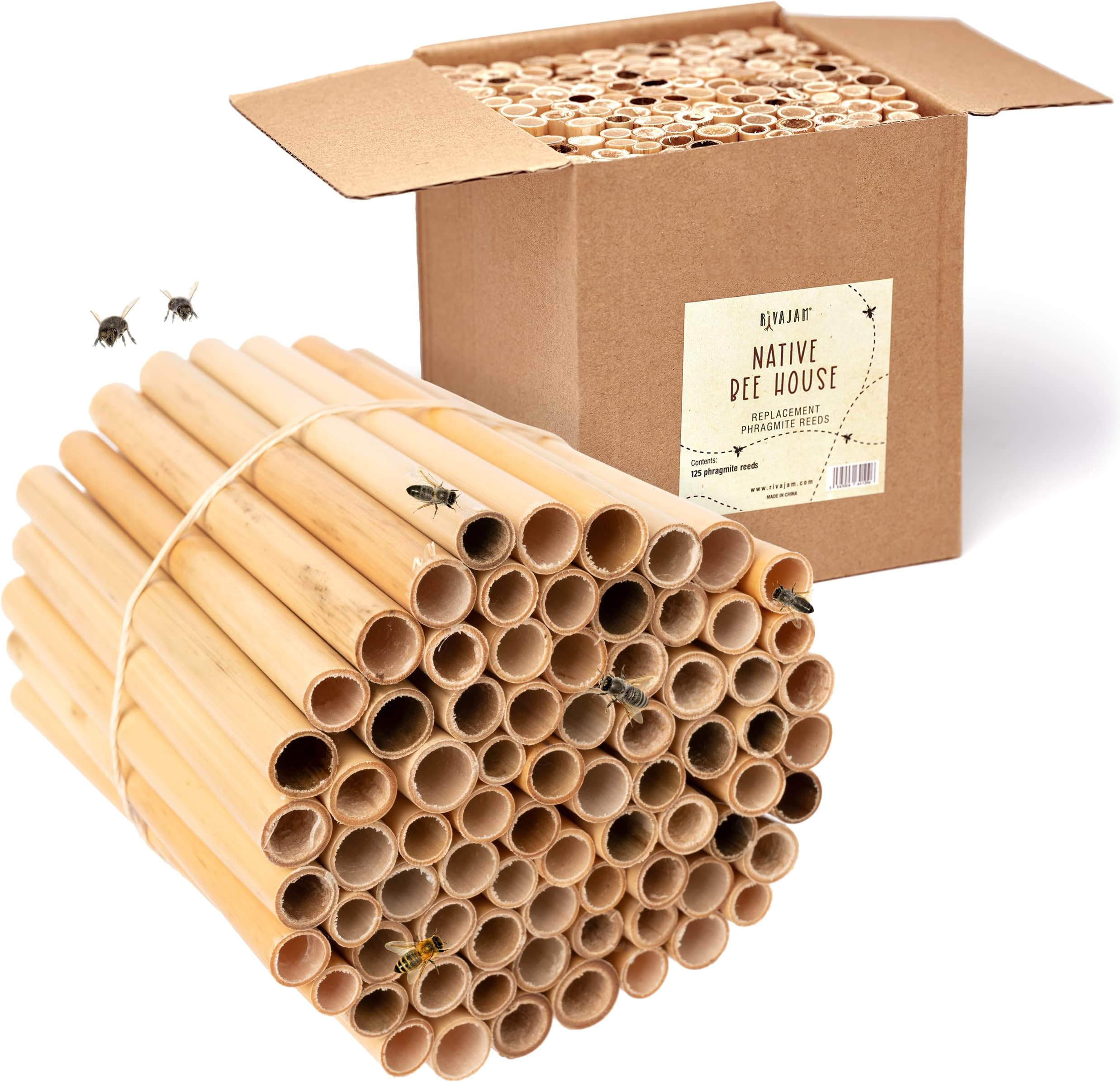 Rivajam 125 Phragmite Reed Mason Bee Tubes | Refill for Bee House, Hotel Nest Box, Solitary Hive & Pollinator Box | Garden Starter Kit & Supplies