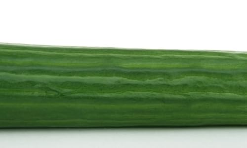 Ham and Cheese Stromboli