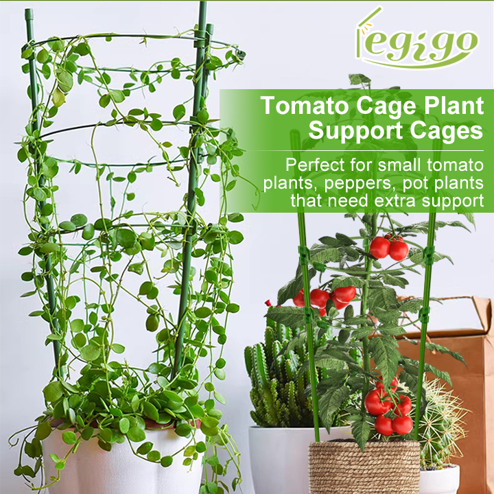 Amazon.com : Legigo 3 Packs Plant Support Cages Tomato Cage for Garden- 18  Inch Adjustable Garden Cucumber Trellis Plant Stakes, Trellis Support Rings  for Climbing Plants, Pots, Indoor Plants with 10 Plant