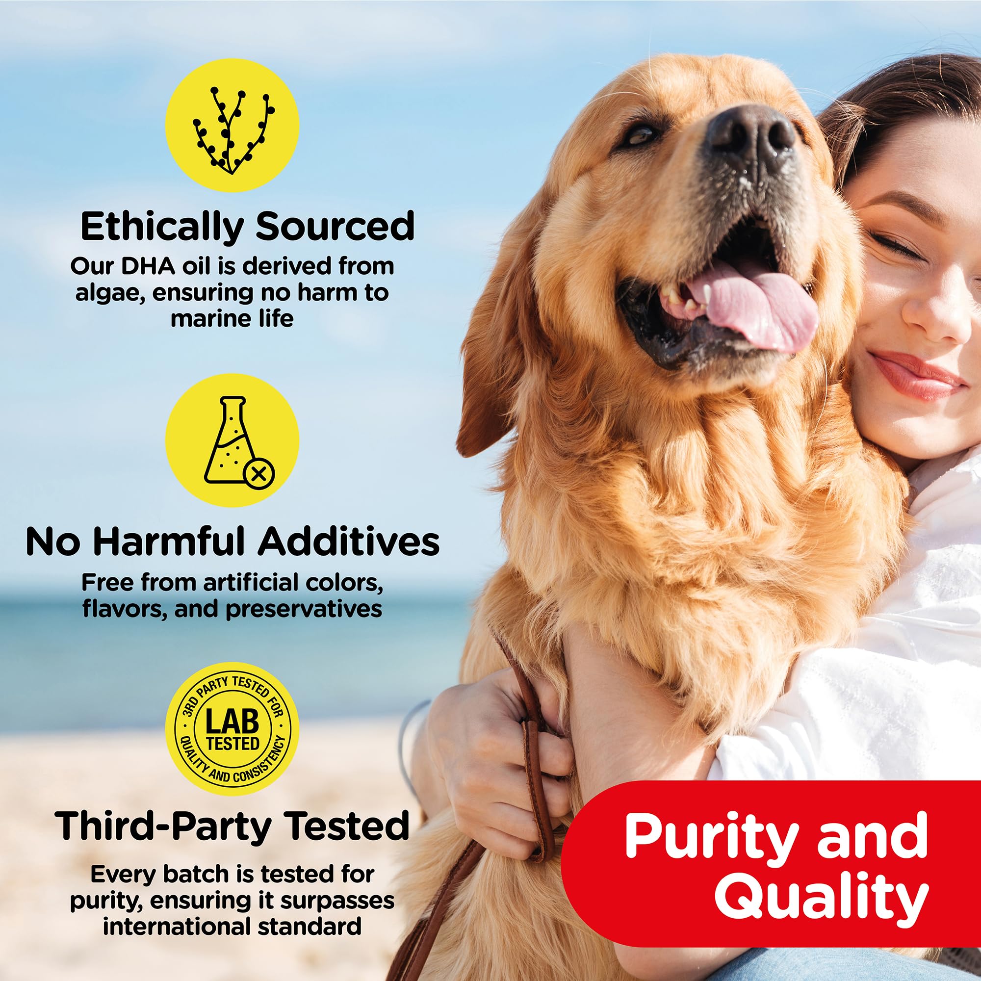 PetJesty Huile pure oméga 3 pour chiens et chats 750 ml – Soutien de la peau et du pelage oméga 3 – Complément alimentaire liquide pour animaux de compagnie – Animal végétalien + DHA pour fonction
