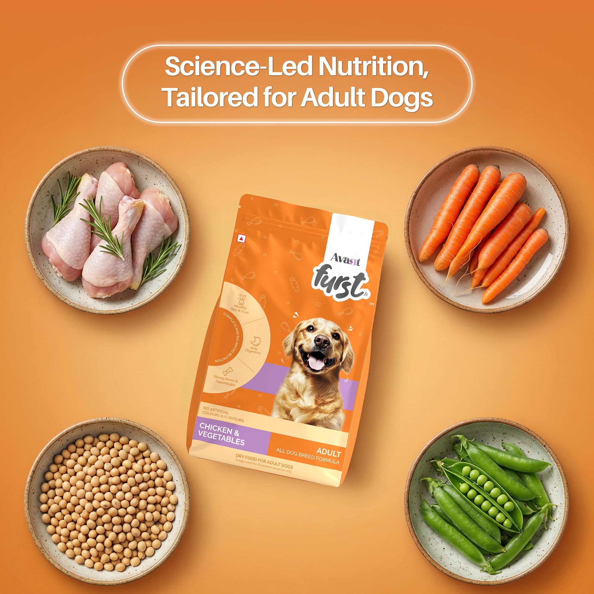 Avant Furst Adult Dry Dog Food Chicken & Vegetable | Dog Food Adult with Real Chicken Protein & Vegetables | Dog Dry Food for Daily Nutrition | No Artificial Additives | 2.8kg 1