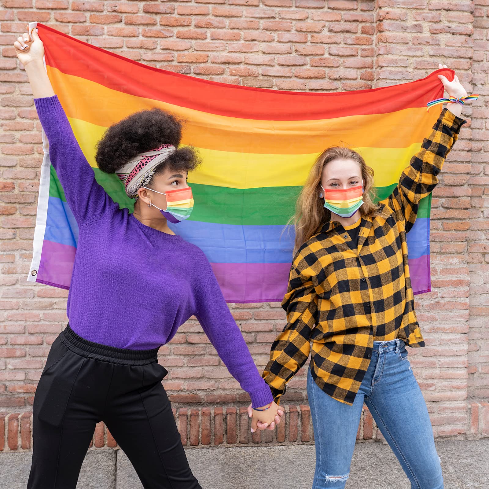 Buy TRIXES Medium Rainbow Flag LGBTQIA2s+ Pride Flags Outdoor and