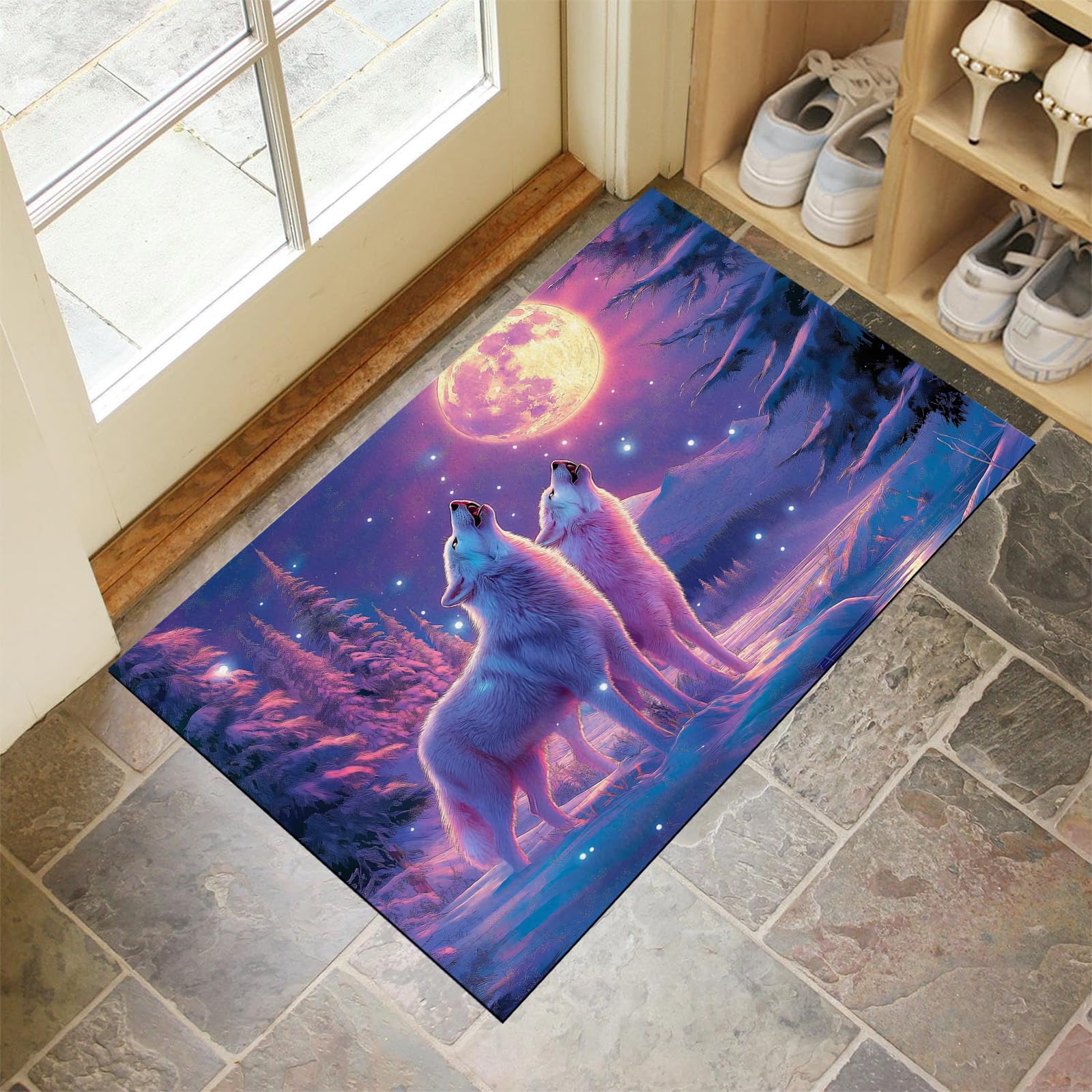 Tapis lavable et résistant 40x60cm pour entrée et extérieur