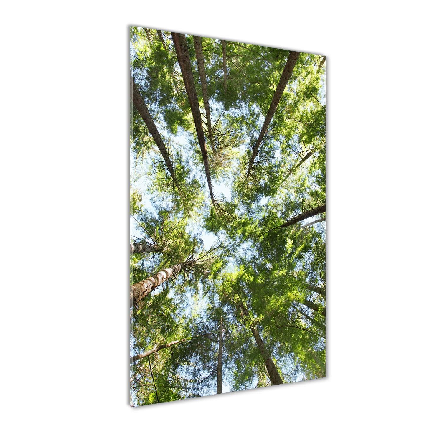 Tableau paysage couronne d'arbres vert pour salon déco mural moderne sous plastique Tulup