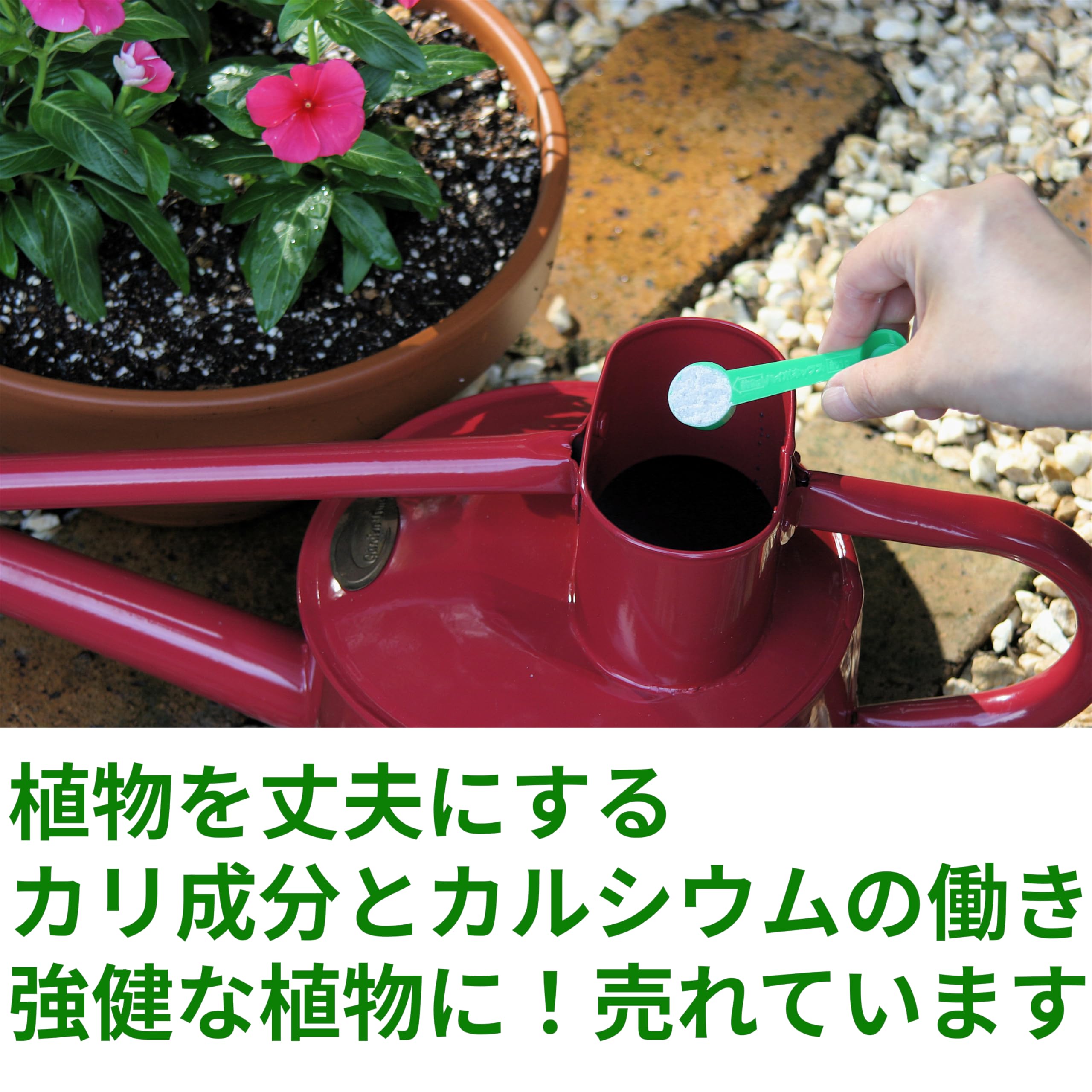 Amazon.co.jp: ハイポネックスジャパン 肥料 微粉ハイポネックス 500g
