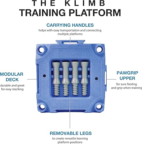 Miniatura 5 de Blue-9 Pet Products Restore - Cama para perros resistente al agua y plataforma de entrenamiento para perros KLIMB y sistema de agilidad, juego de 2