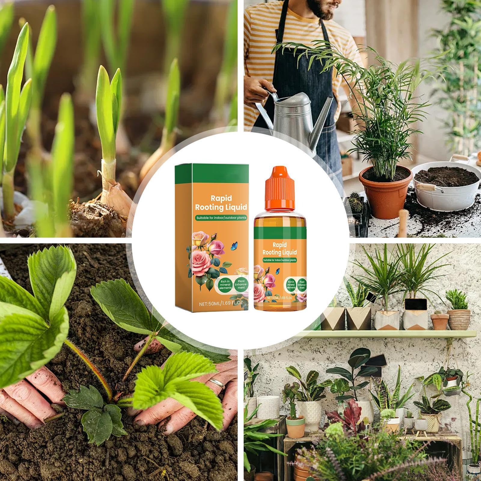 Radicante Per Talee LERAVA - Bioattivatore 100g Con Microrganismi - Stimola Radici E Suolo - Foto 8