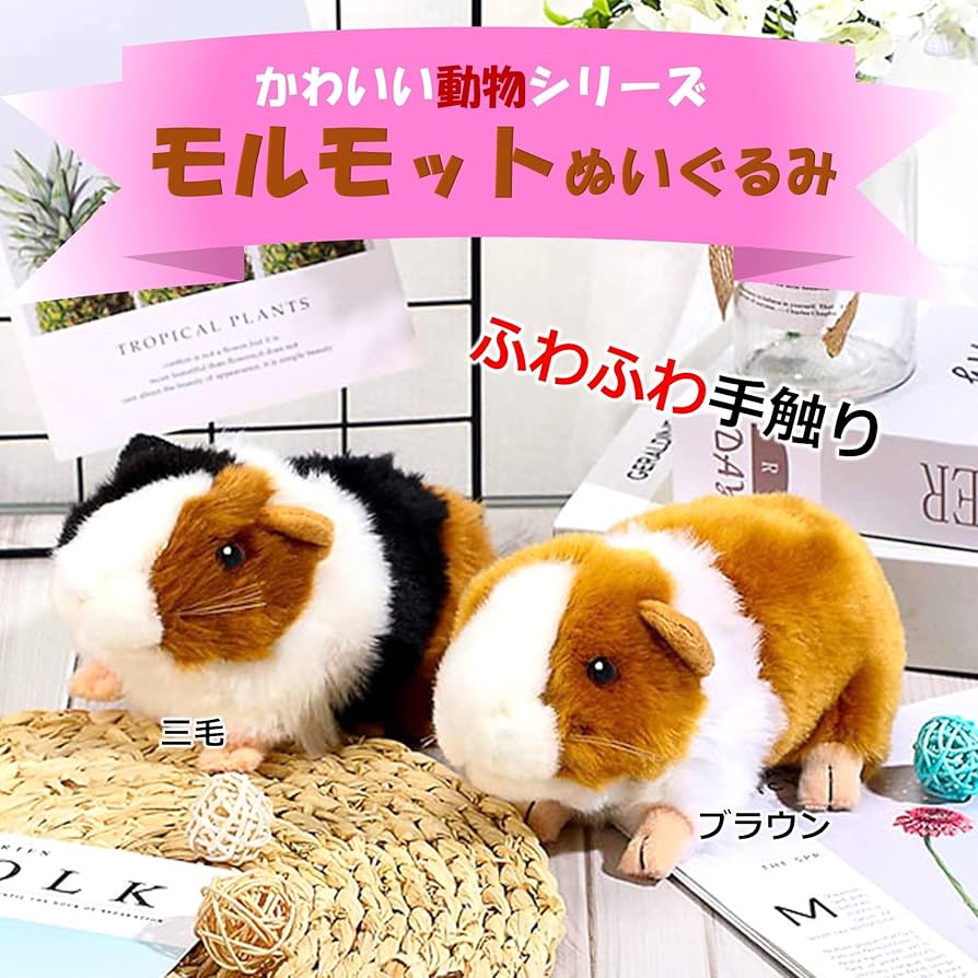 Amazon.co.jp: MIMIA モルモット もるもっと ぬいぐるみ