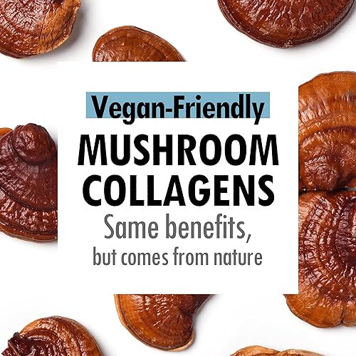 Miniatura 6 de VEGREEN Skin Barrier Reishi Face Serum Skin Barrier Skin Barrier Repair Moisturizer  Suero hidratante coreano con extractos de hongos y fermento de