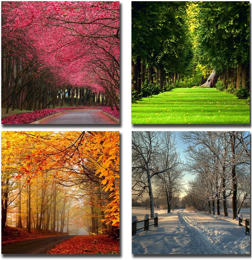 Cairnsi 4 Piece Modern Framed Landscape Artwork Canvas Pictures Paintings on Canvas Wall Art for Living Room Bedroom Home Office Decorations - Four Seasons