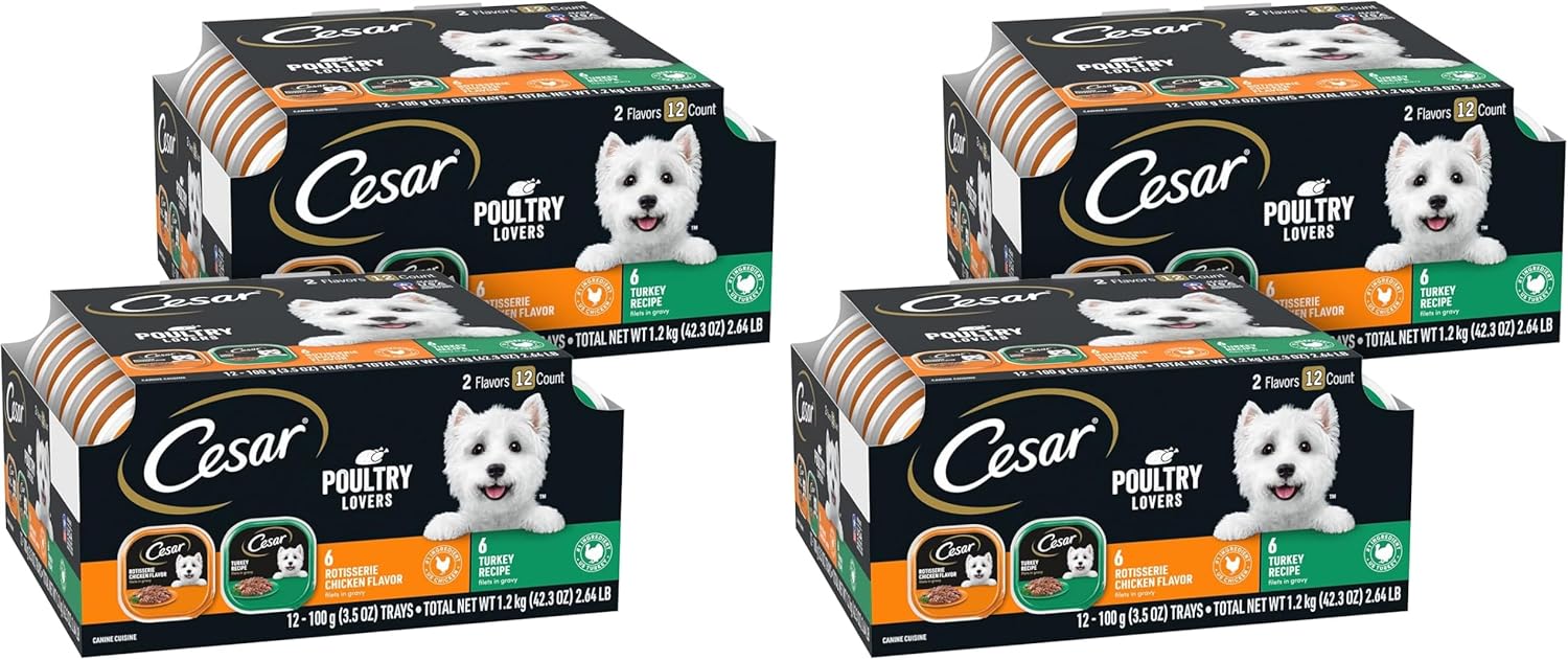 Cesar Filets in Gravy Adult Wet Dog Food Variety Package,Poultry Lovers with Rotisserie Chicken Flavor and Turkey Recipe,3.5 oz. Easy Peel Trays,12 Count (Pack of 4)