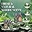 Woody Essential Oils Set - 6x10ML Woody Scents Fragrance Oil for Candle Making, Diffuser - Teakwood, Sandalwood, Cedarwood, Cyperss, Forest Pine, Frankincense Aromatherapy Oils