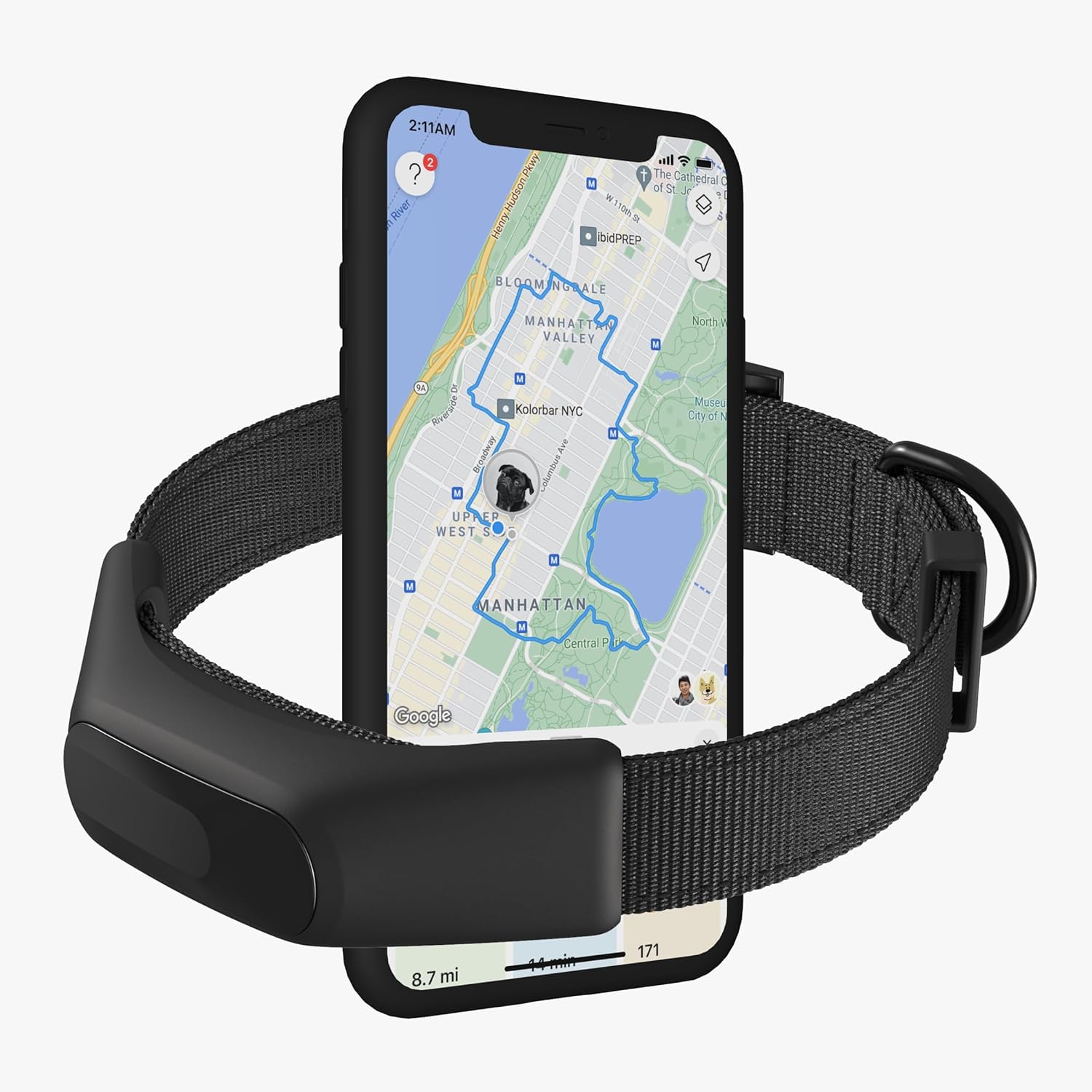 Averia Collar - Reliable GPS and Activity Tracker for Dogs