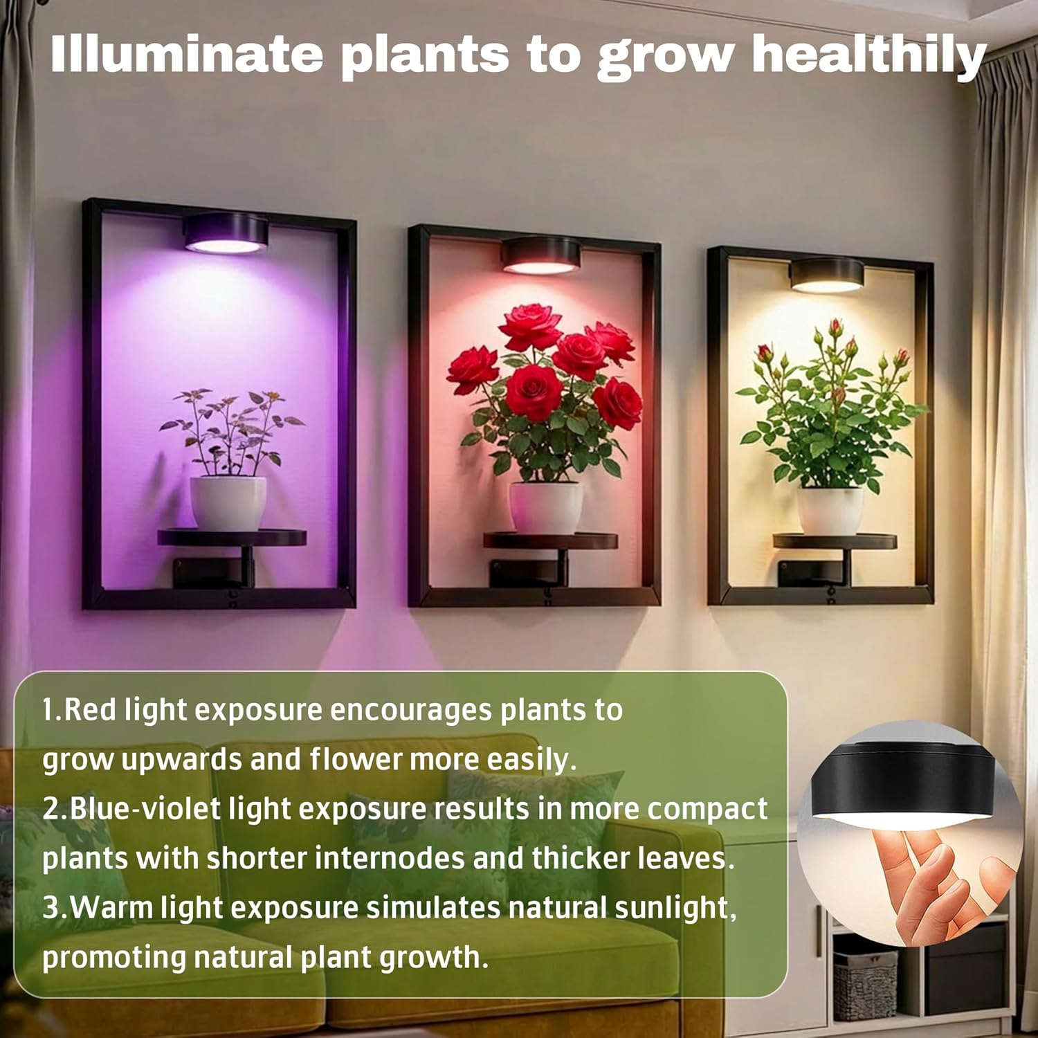 2 Pack Wall Plant Shelf with Grow Light, Remote Control Indoor Plant Shelf, Metal Frame Hanging Planters for Living Room, Window & Wall Decor, Plant Shelves with Grow Lights