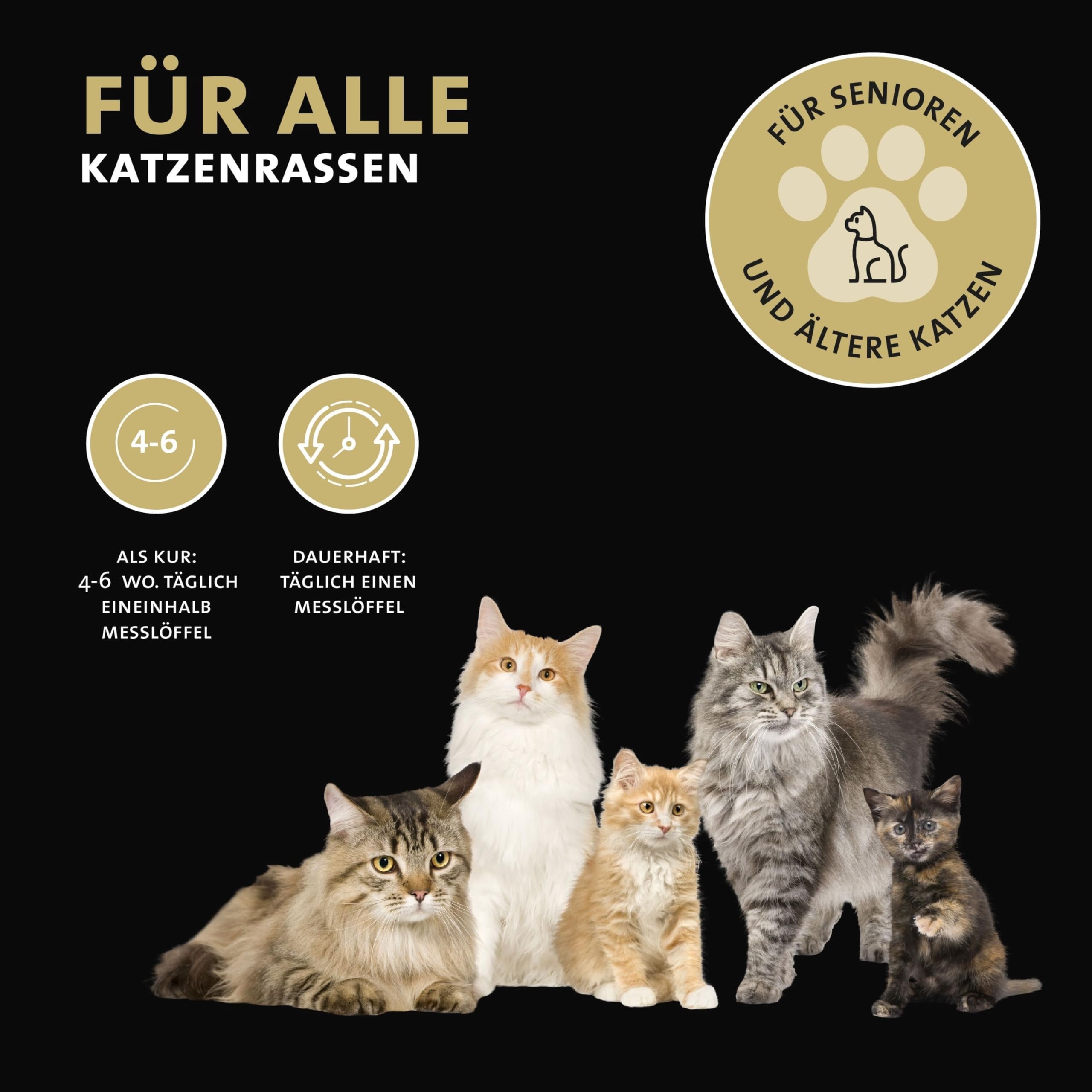 Peticare Senior Aktiv Vital Mix Pulver für alte Katzen | Natürliches Ergänzungsfutter-Mittel mit Grünlippmuschel, MSM, Curcuma | fördert Immunsystem & bei Mangelerscheinungen | petCat Health 3603