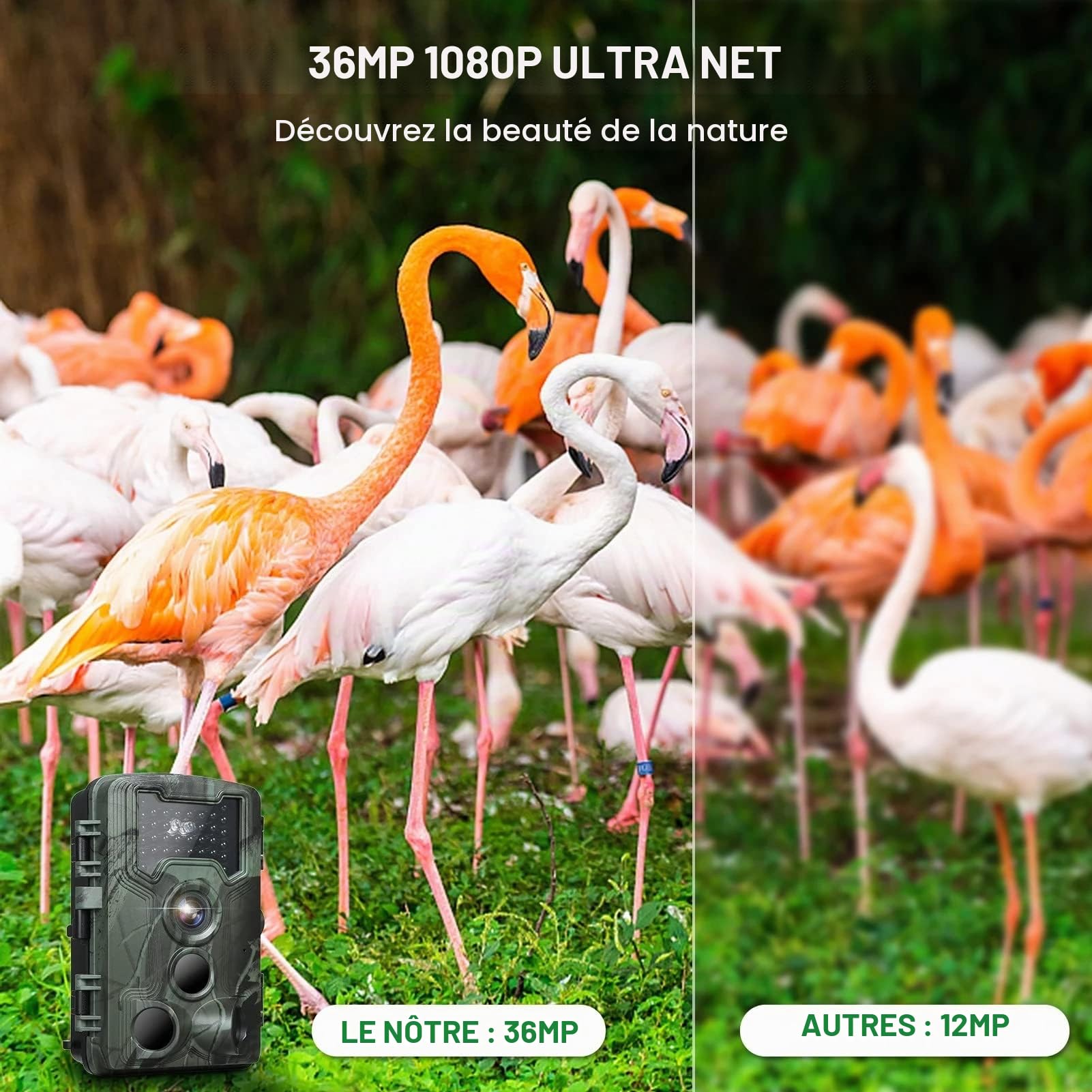 EMEBAY Caméra de Chasse Surveillance 36MP 1080P IP66 Étanche Écran LCD