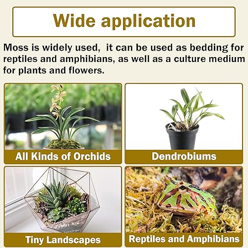Miniatura 7 de Hourleey Musgo de esfagnum para plantas, maceta de musgo seco de fibra larga natural de primera calidad, musgo de turba esfagnum a granel para
