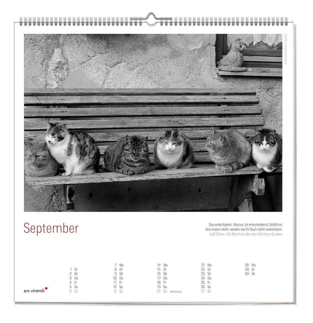 Der große literarische KATZEN Kalender 2027 – Wandkalender mit Katzenfotos & gefühlvollen Texten – Inspirierendes Geschenk für Katzenliebhaber & Tierfreunde