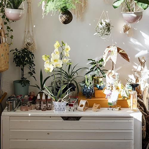 Miniatura 5 de GANAZONO Macetas para orquídeas de interior, 5 juegos de orquídeas con agujeros y platillos, planta de plástico transparente para interiores de 6