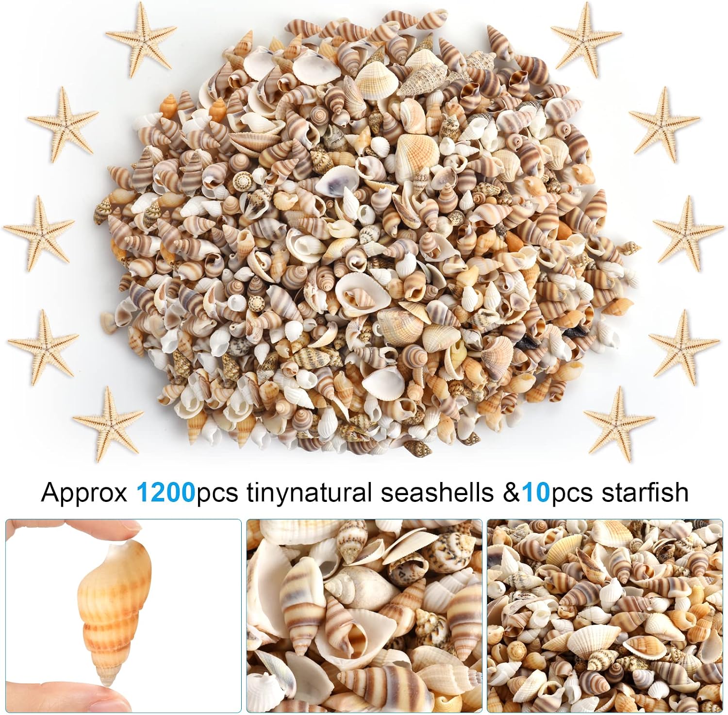 gopiter 1200 PCS Tiny Sea Shells Small Natural Starfish Mixed Ocean Beach Spiral Seashells for Home Decorations, Beach Theme Party, Wedding Decor, Candle Making, Fish Tank and Vase Filler
