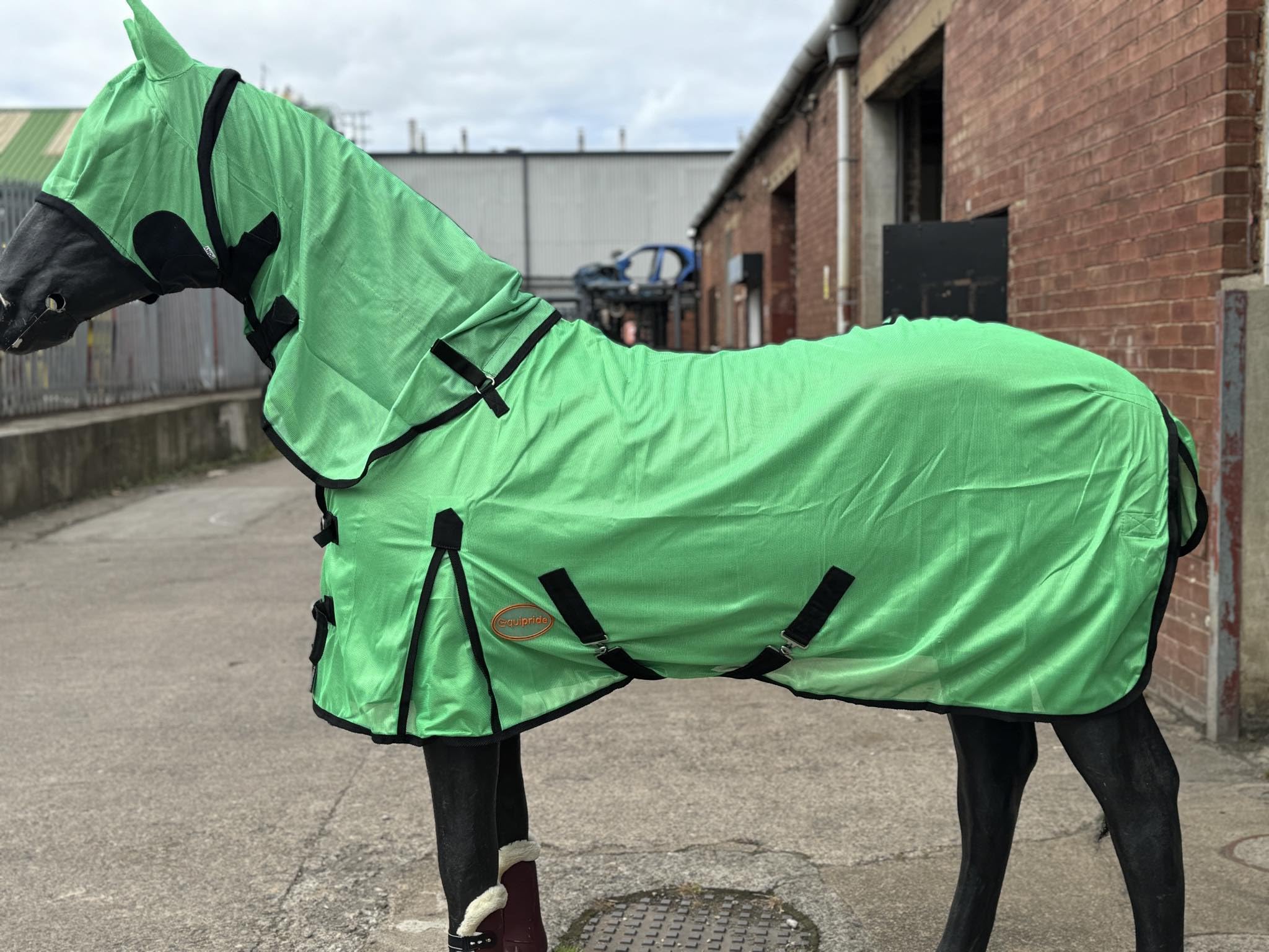 Horse Fly Rug Set with Detachable Neck & Mask, Green (4'0")