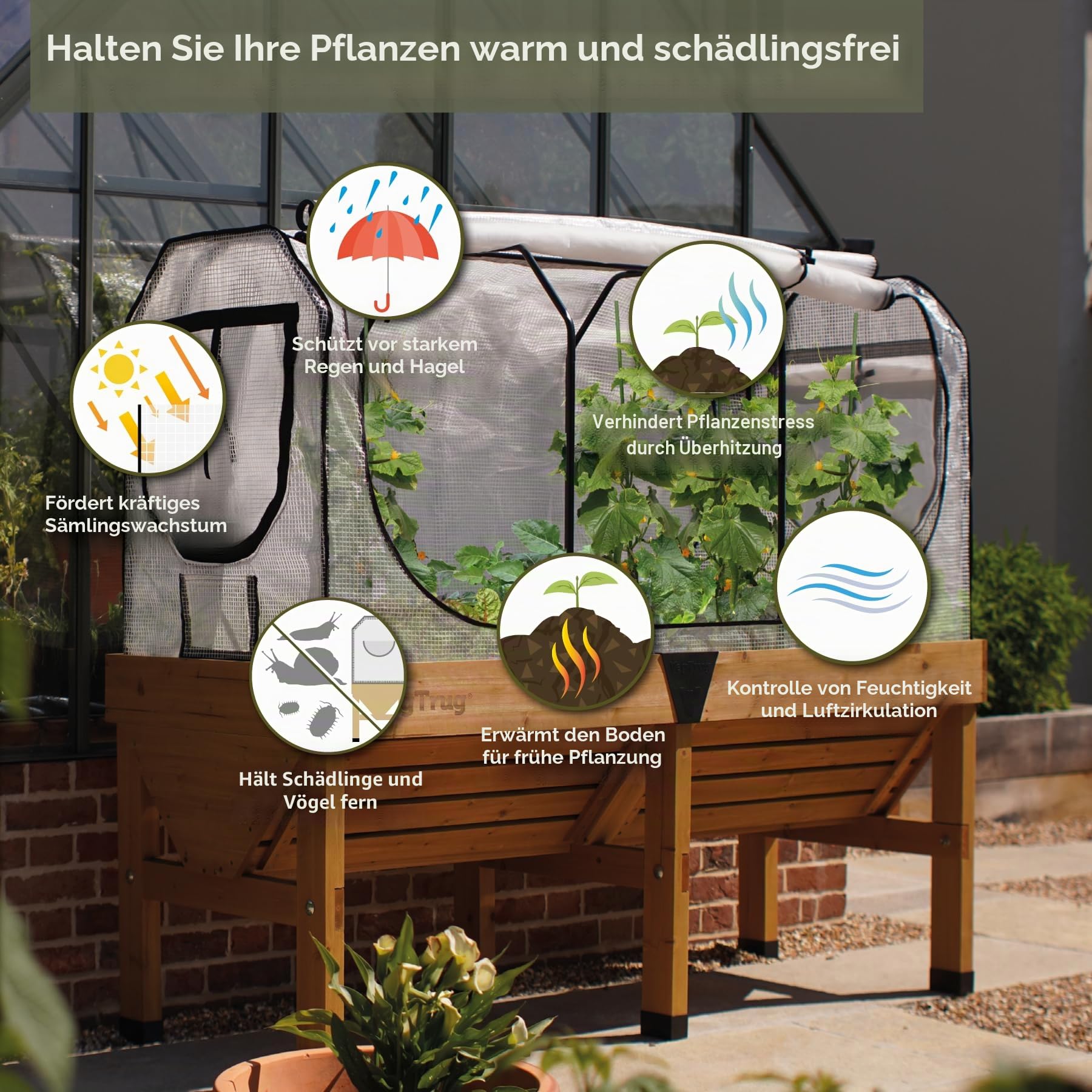 VegTrug Mittelgroßes Gewächshausgestell & Multiabdeckungs-Set, Weiß