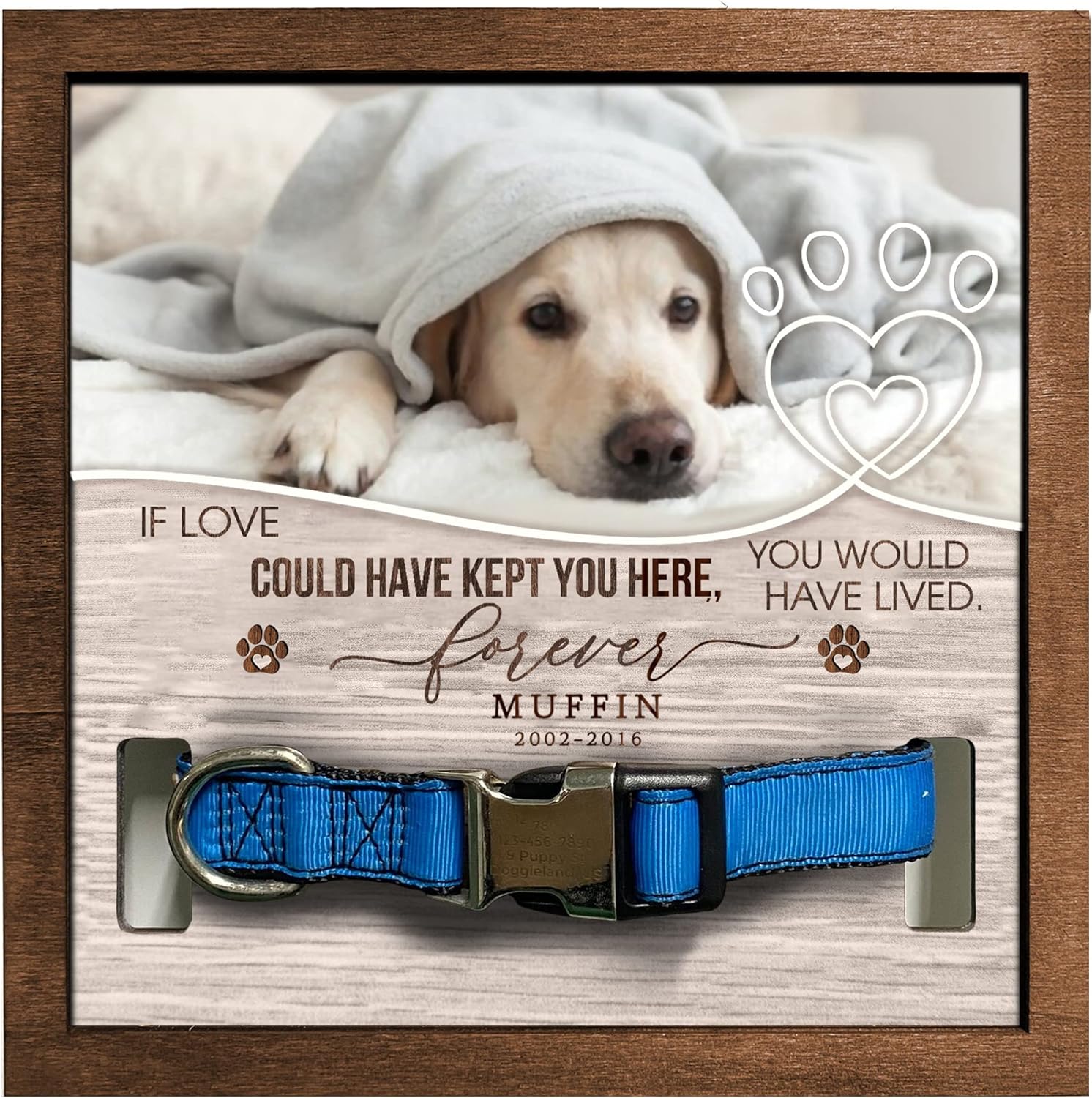Dog Memorial Picture Frame Collar, Dog Picture Frames For