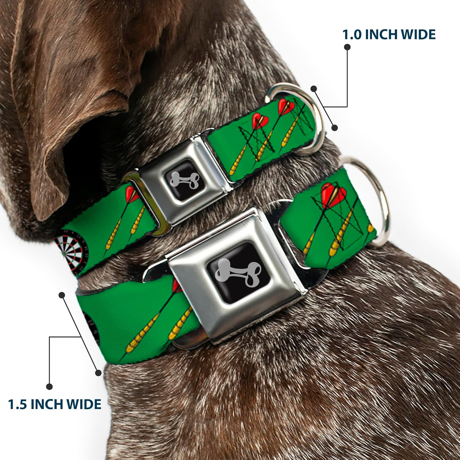 Dog Collar Seatbelt Buckle Darts Green Multi Color 9 to 15 Inches 1.0 Inch Wide