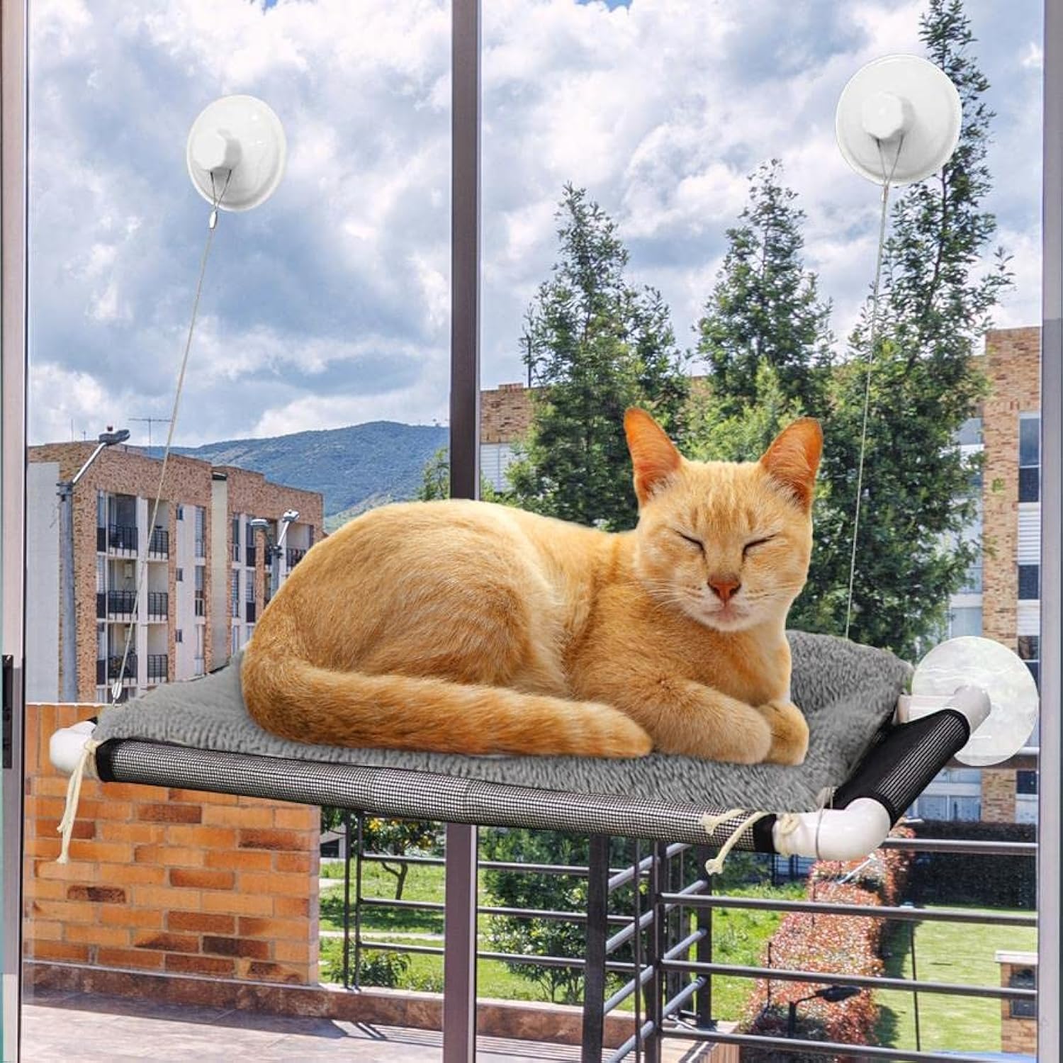 STOREAL Cat Window Bed, Perch Window Seat Suction Cups Space-Saving Cat Hammock Pet Resting Seat Safety Cat Shelves - Providing All Around 360° Sunbath for Cats Weighing Up to 22 KG