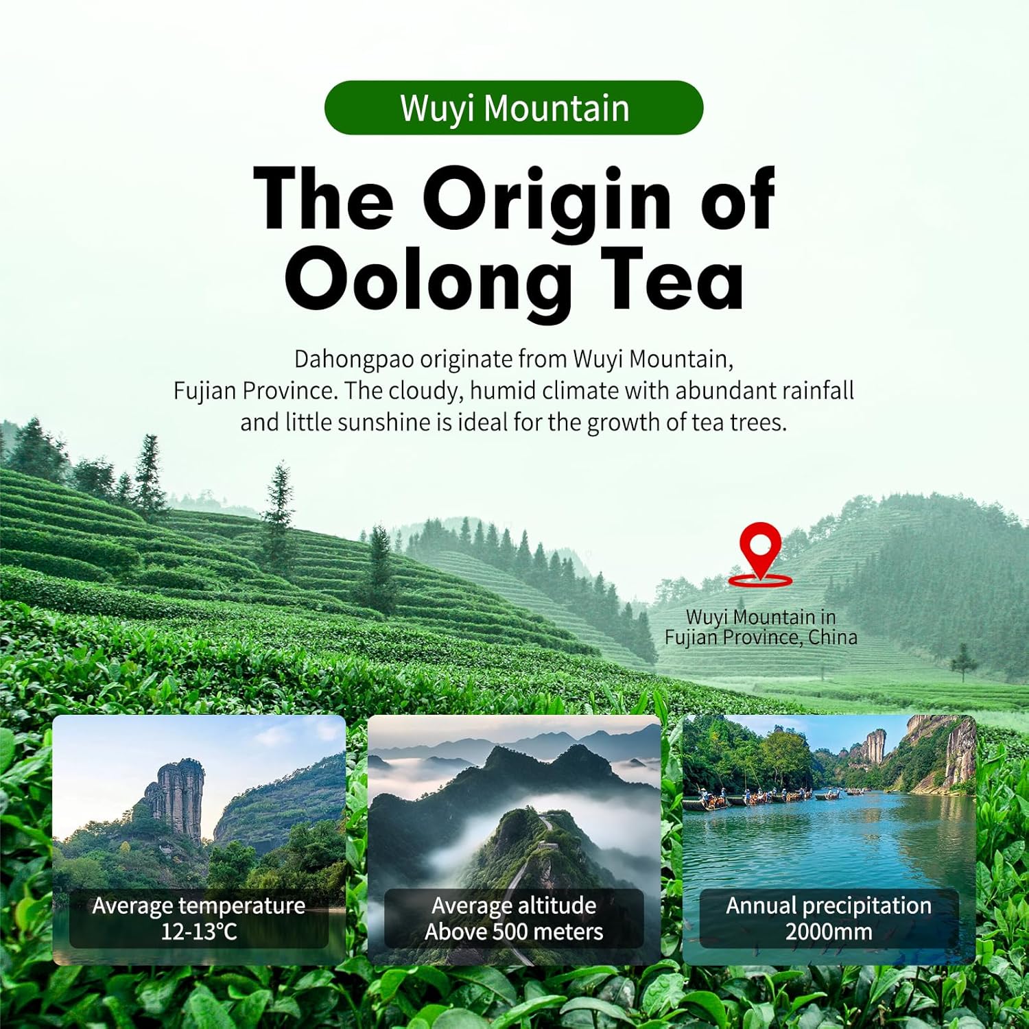 YUANSHENG Dahongpao Oolong Tea, Fujian Wuyi Rock Oolong Tea Loose Leaf with Nectar Aroma, Dark and Moist, Natural High Mountain Chinese Tea Dahongpao Big Red Robe 3.53Oz (100g)