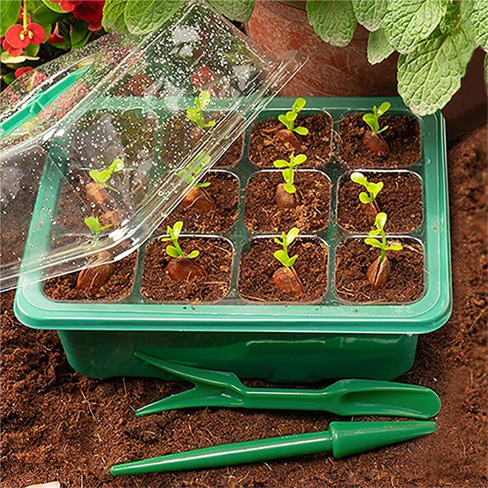 Anzuchtschale Samen-Starter-Tabletts, Aussaat-Sets mit Feuchtigkeitskuppeln, Decken die Keimung von Gartenpflanzen im Innenbereich ab für Pflanzen