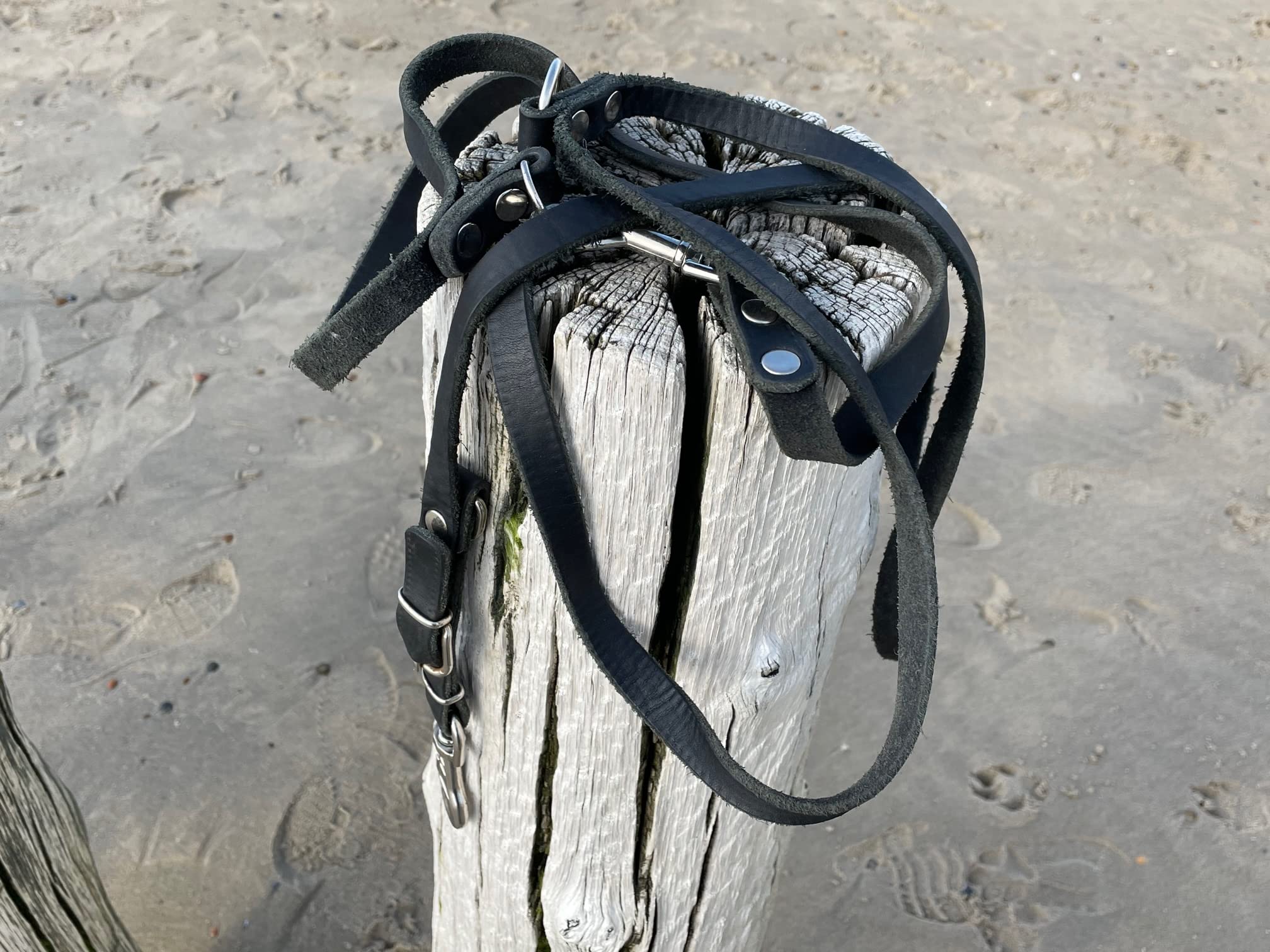 Esclusivo guinzaglio per cani in vera pelle, 925, 20 mm/220 cm, nero, regolabile, per cani di taglia XL