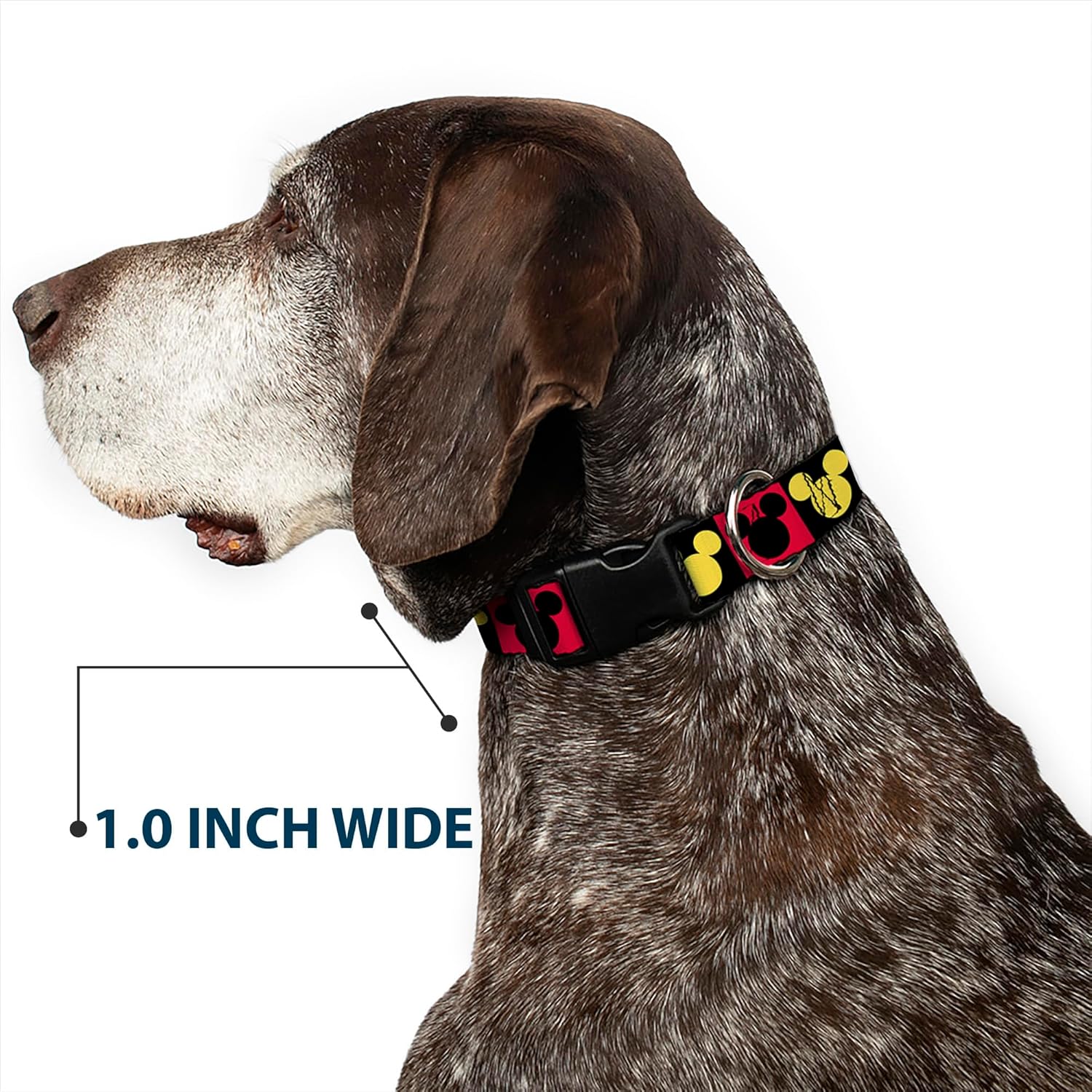 Disney Pet Collar, Dog Collar Plastic Buckle, Mickey Mouse Ears Icon Blocks Red Black Yellow, 13 to 17 Inches 1.5 Inch Wide