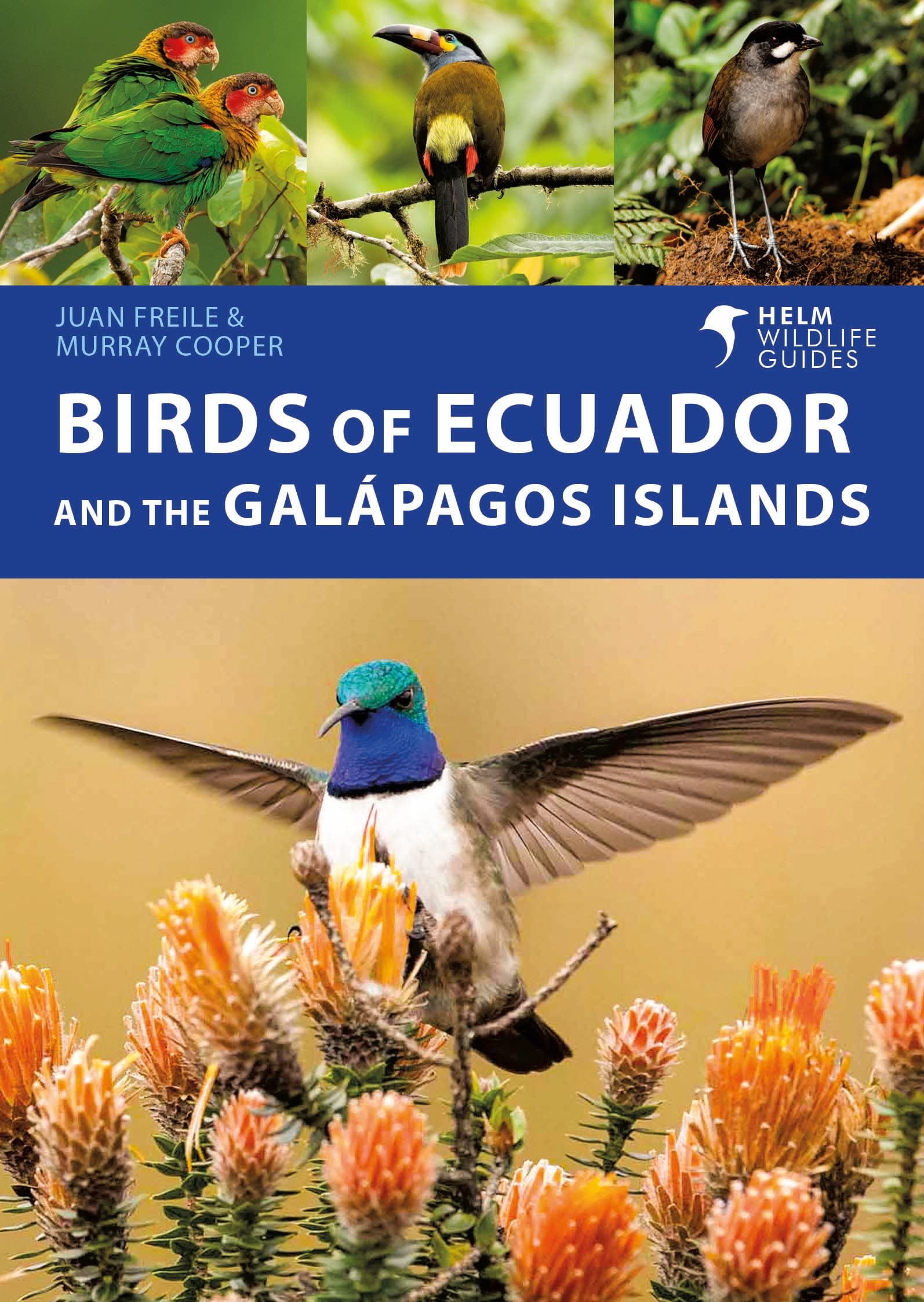 Birds of Ecuador and the Galapagos Islands (Helm Wildlife Guides)