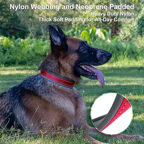 Miniatura 4 de Collar de perro personalizado, nombre bordado y número de teléfono, collar de nailon reflectante personalizado para mascotas, ajustable con