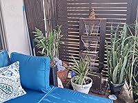 Review Image by Amazon Customer Amazon Customer