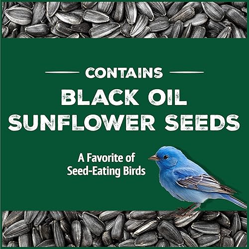 Vista 22 de Pennington - Pride Wild Finch - Mezcla de semillas para pájaros silvestres, 10 libras