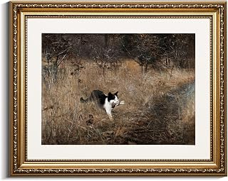 VIYYIEA Gold Framed Wall Art Canvas Print Home Decor Cat Walll Art Funny Bathroom Decor Black Cat Holding A Bird Prints Artwork Wild Grass Scenery Landscape Modern Room Decor for Bedroom 13x16in