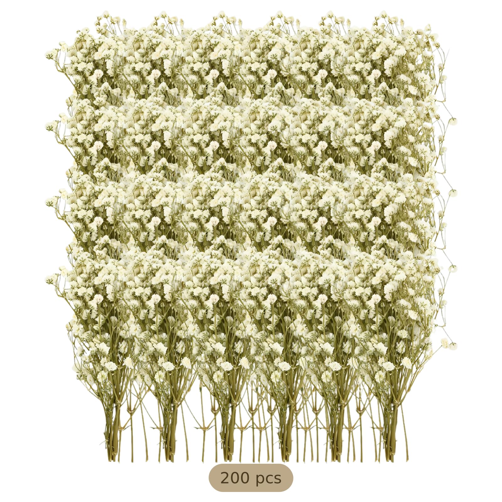 200 tiges de gypsophile séchée, gypsophila Naturelle avec tiges Vertes, Mini Fleurs Blanches pour Invitations de Mariage, Art en résine, Cartes, Loisirs créatifs, déco de Table Maison