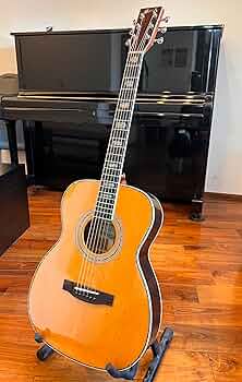 Amazon | Three S SUZUKI W-380 トリプルオー | アコースティック