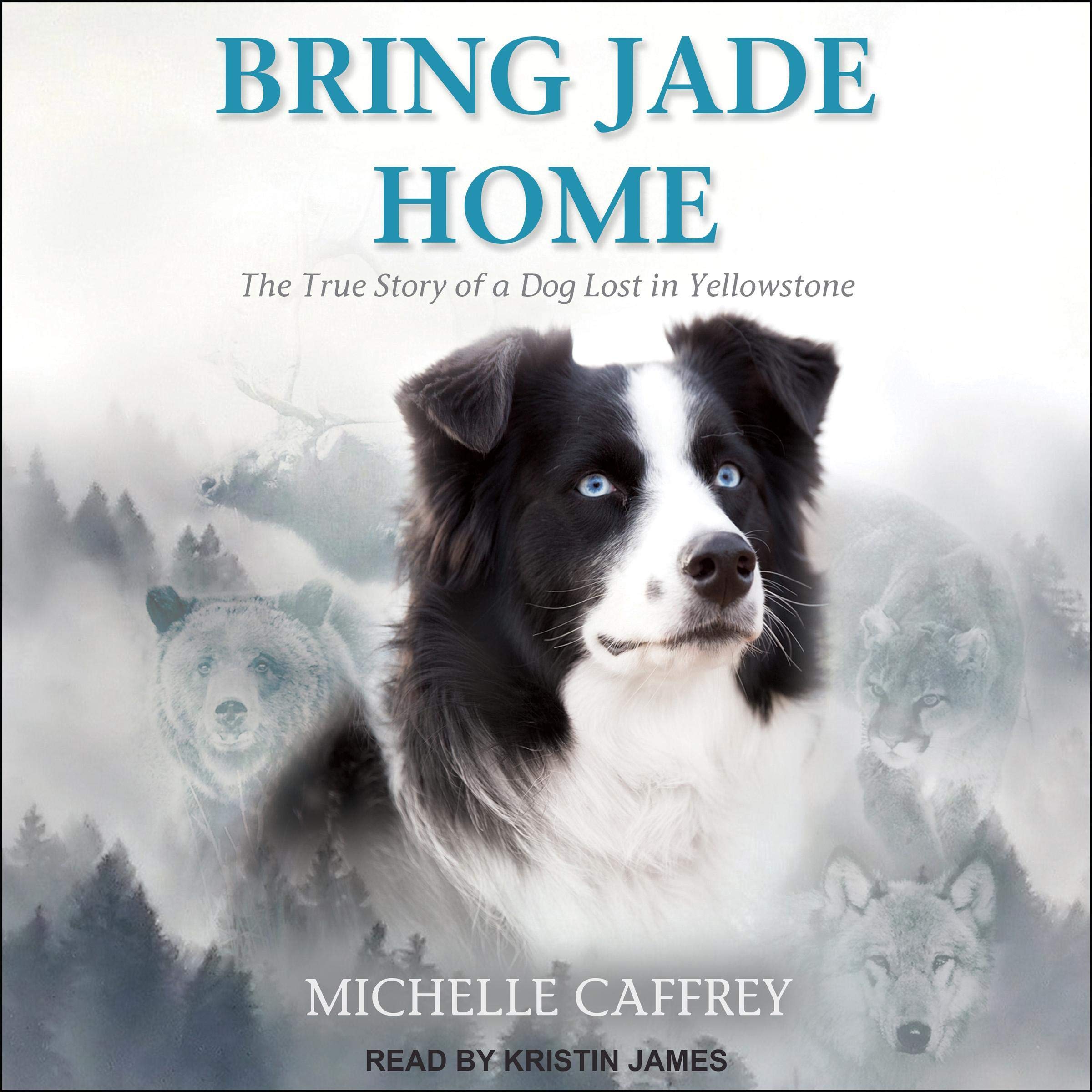 Cover art for Bring Jade Home