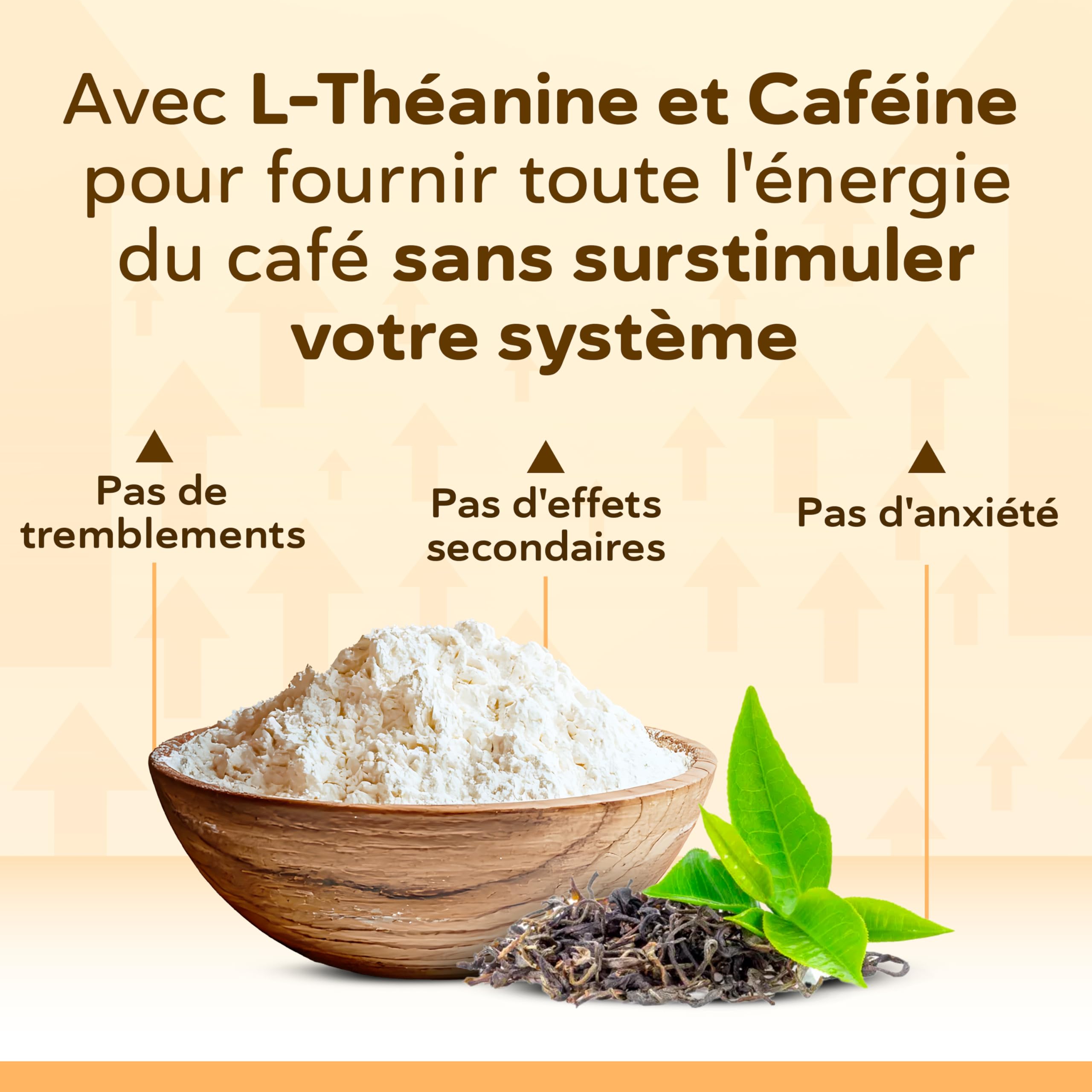 Nootropic – Formule Avancée pour le Soutien Cognitif avec Bacopa, Ginkgo, Tyrosine, Théanine, Caféine, B6 & B12