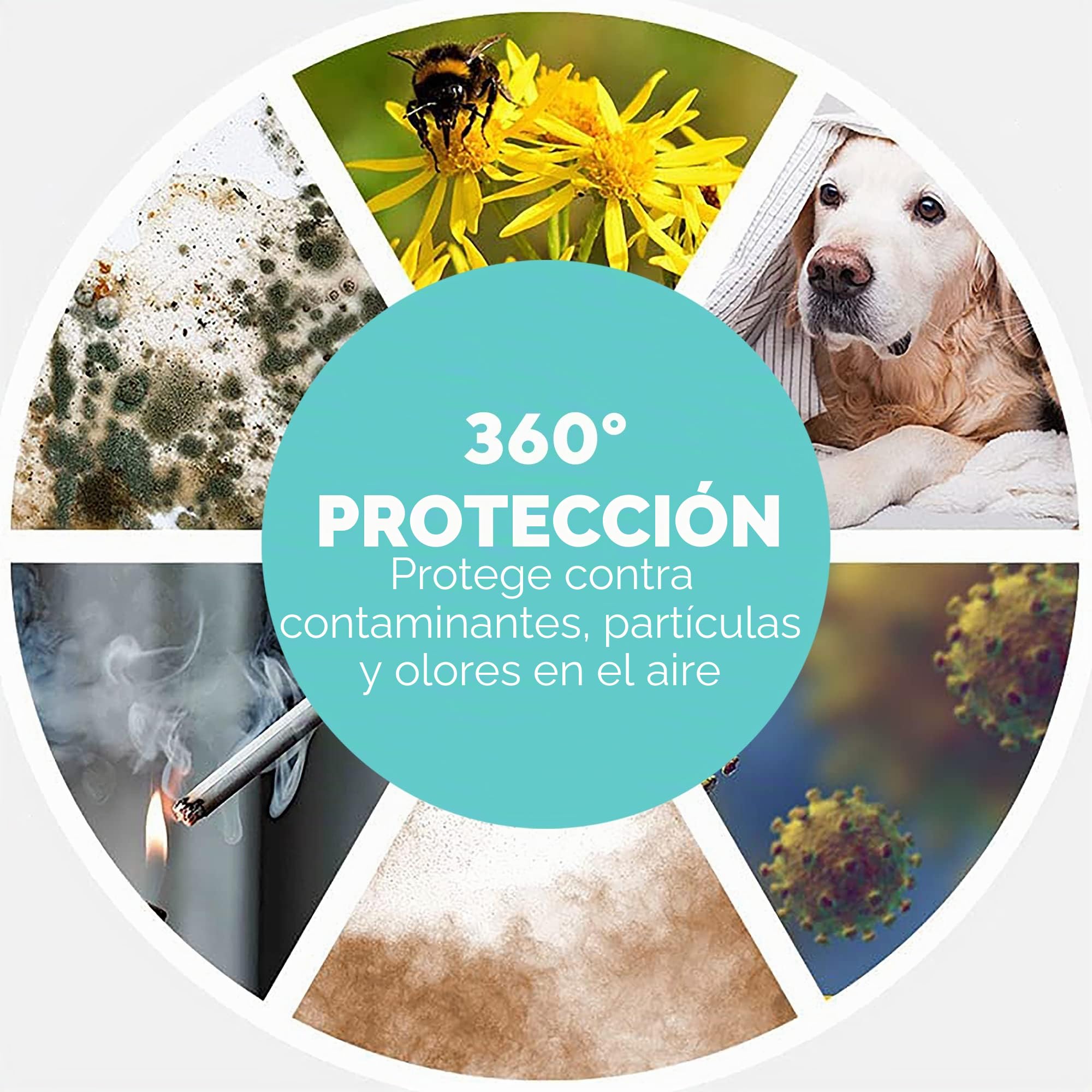 Homedics TotalClean 5 en 1 Deluxe Purificador de Aire
