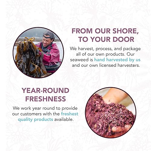 Miniatura 4 de VITAMINSEA Copos de algas secas de triple mezcla  Dulse salvaje del Atlántico Norte y lechuga marina para condimentos, sopas y ensaladas  Rico en