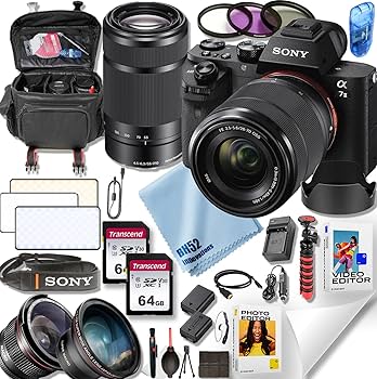 7月28日限定セール①OP付き♪【望遠】SONY E55-210mm OSS 71qoKvgmakL._AC_UF350,